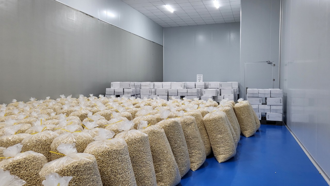 z5576233105950_583465411b1c508d5a2e84696c8b9bcd