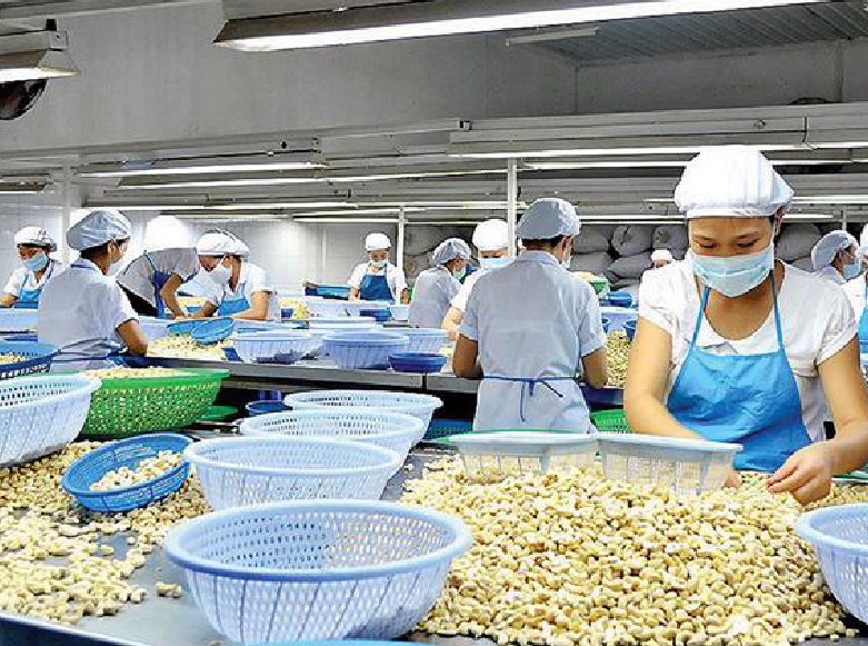 sprouts in the factory